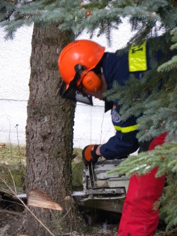 christbaumaufstellen 2017 08
